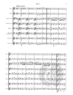 Die Eselshaut von Johann Nepomuk Hummel für Holzbläser Septett im Alle Noten Shop kaufen