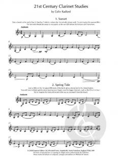 21st Century Clarinet Studies von Colin Radford 