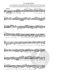 21st Century Clarinet Studies von Colin Radford 