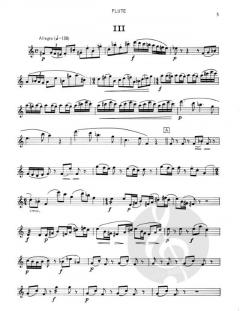 Divertimento von Francis Baines für Holzbläser Trio im Alle Noten Shop kaufen