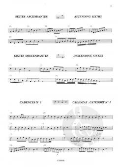 The Art of Diminution in the 16. and 17. Centuries 1 von Philippe Matharel 