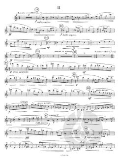 Concerto pour Flute von Jean Rivier 