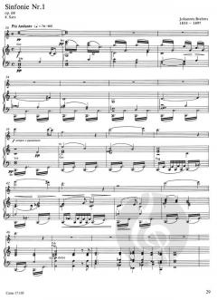 Orchesterstudien für Flöte und Klavier im Alle Noten Shop kaufen