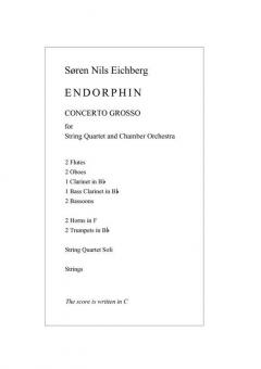 Endorphin von Sören Nils Eichberg 