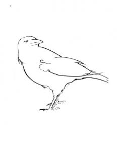 Bird Spirits von William Bolcom 