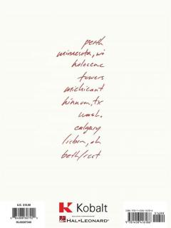 Bon Iver 