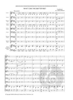 The Sheila Nelson Ensemble Book 2 für 4-8 Streicher; Klavier ad lib. im Alle Noten Shop kaufen