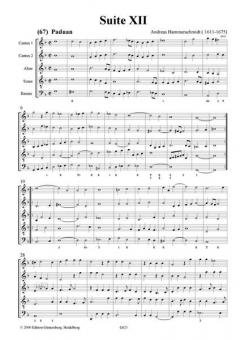 Erster Fleiß: Suiten XII & XIII in g/G, d/D von Andreas Hammerschmidt 