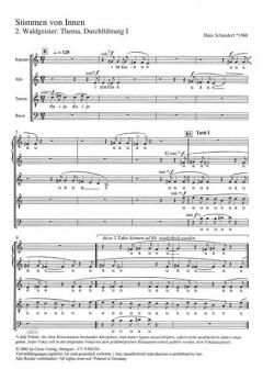 Waldgeister: Thema, Durchführung I (Hans Schanderl) 