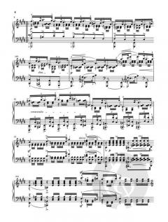 Sinfonische Etüden op. 13 von Robert Schumann 