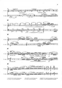 Doppelkonzert a-moll op. 102 von Johannes Brahms 