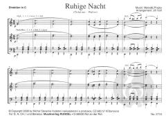 Ruhige Nacht (Metodej Prajka) 
