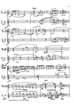 Duettino Op.343 von Niels Viggo Bentzon für Holzbläser Duo im Alle Noten Shop kaufen