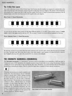 Blues Harmonica von Steve Guyger im Alle Noten Shop kaufen