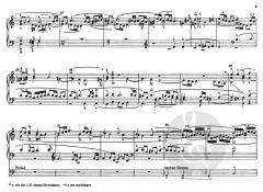 Ausgewählte Orgelwerke, 1-10 von Johann Pachelbel (Download) 
