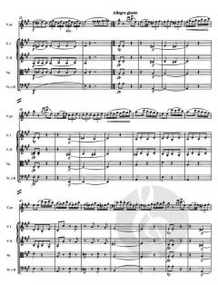 Rondo für Violine und Streicher A-Dur D 438 von Franz Schubert 