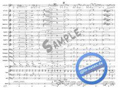 Skyfall von Adele Adkins 