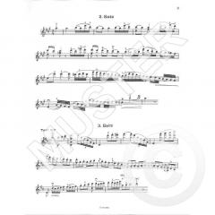 Kadenzen zu Violinkonzerten zu Mozart, D-Dur, KV 218 von Wolfgang Schneiderhan im Alle Noten Shop kaufen