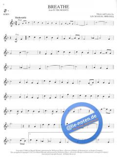 Instrumental Play Along: Broadway Hits für Horn