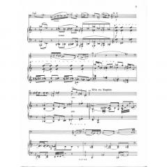 Adagio op. 117 Konzertstück 2 von Robert Schollum 