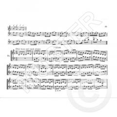 Ich spiele Blockflöte Band 8 (Rupert Doppelbauer) 