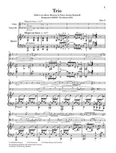Klaviertrio g-moll op. 8 (Frédéric Chopin) 