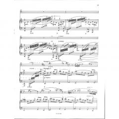 Sonate op. 47 von Ivan Eröd 
