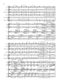 Die Symphonien Nr. 1-4 im Schuber von Johannes Brahms 