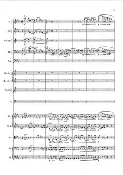 Die Symphonien Nr. 1-4 im Schuber von Johannes Brahms 