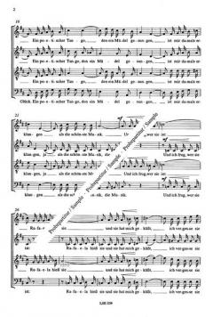 Florentinische Nächte (Nico Dostal) 