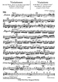 Variationen über 'Reich mir die Hand, mein Leben' von Ludwig van Beethoven für Holzbläser Trio (Stimmensatz) im Alle Noten Shop kaufen