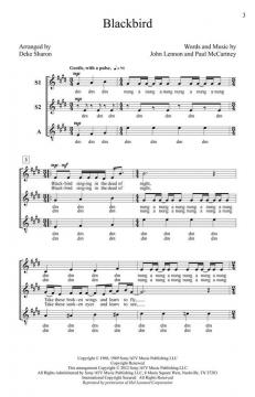 Blackbird 