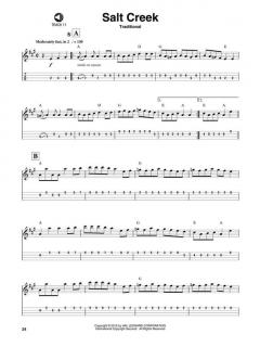 Mandolin Play-Along Vol. 1: Bluegrass im Alle Noten Shop kaufen