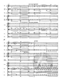 Sinfonie Nr. 7 d-Moll op. 70 von Jonathan Del Mar 