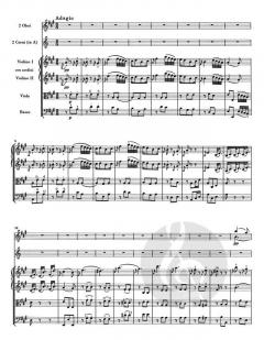 Sinfonie fis-Moll Hob. I:45 'Abschiedssinfonie' 