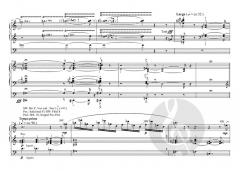 Zwei Psalmen für Orgel op. 74 von Thomas Daniel Schlee (Download) 