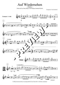 Play Along mit Blasmusik Vol. 1 Set 4 von Original Hofbräuhaus-Festkapelle für Trompete 1, 2 im Alle Noten Shop kaufen