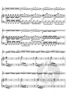 Concerto G Minor Op. 10 No. 2, RV 439 von Antonio Vivaldi 
