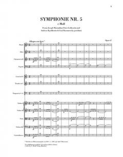 Symphonien III von Ludwig van Beethoven 