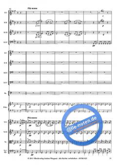 Sinfonie Nr. 5 von Ludwig van Beethoven 