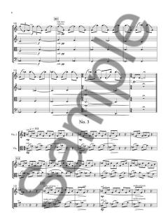 Diacritical Marks - Score & Parts von Nico Muhly (Download) 