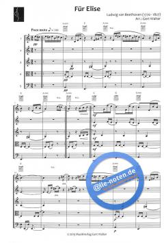 Für Elise (Ludwig van Beethoven) 