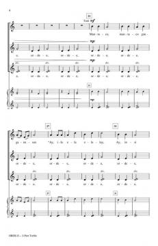 Orde-e von Maria Theresa Vizconde-Roldan 