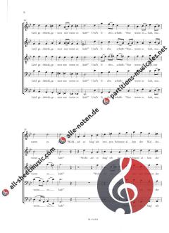 Das Echo für gemischten Chor a cappella (Erstdruck) (Hans Rott) 