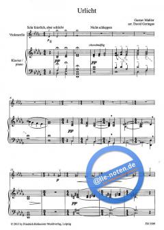 Delights For Strings: 4 Lieder von Gustav Mahler 