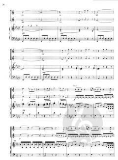 Konzert für 2 Hörner Es-Dur RWV C 56 von Antonio Rosetti für 2 Hörner und Klavier