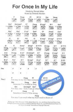 The New Big Acoustic Guitar Songbook 