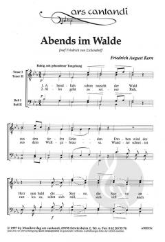 Abends im Walde (Friedrich August Kern) 
