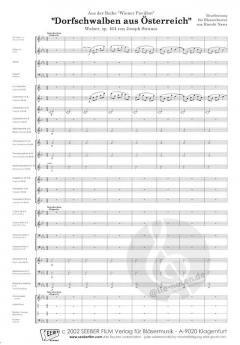 Dorfschwalben aus Österreich - Walzer op. 164 (Josef Strauss) 