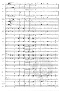 Dorfschwalben aus Österreich - Walzer op. 164 (Josef Strauss) 